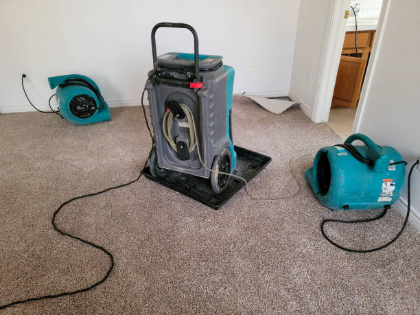 Best 24-hour water damage restoration  in Freedom, CA