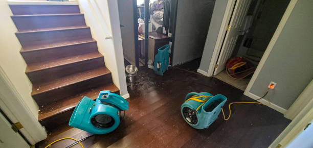 Best Sewage cleanup and water damage restoration  in Freedom, CA
