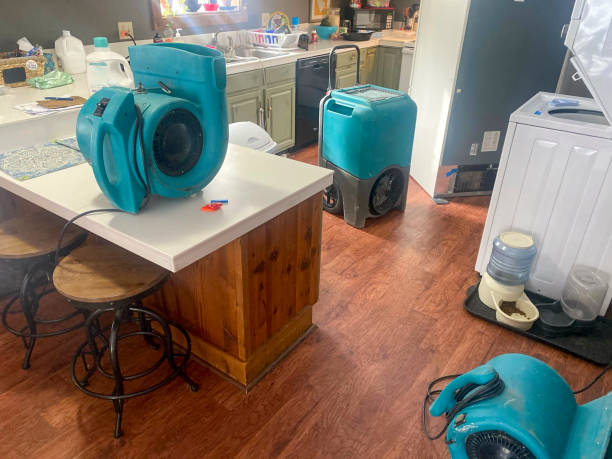Best Water damage restoration near me  in Freedom, CA