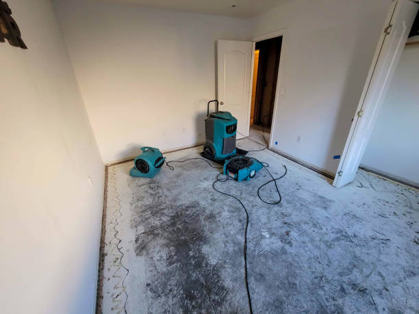 Best Ceiling water damage repair  in Freedom, CA