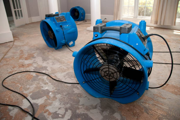 Best Local water damage restoration  in Freedom, CA