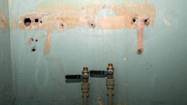 Best Water damage restoration services  in Freedom, CA
