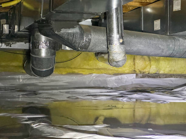 Best Basement water damage restoration  in Freedom, CA